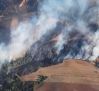 El humo de un incendio forestal obliga a cortar la carretera GU-199 en Robledillo de Mohernando