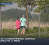Previsión del tiempo - 03/07/2026