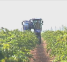 Día Mundial de las Cooperativas: hay más de 500 agroalimentarias que dan trabajo a 158.000 familias