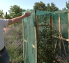 Los protocolos contra el calor que aplica el Jardín Botánico de Castilla-La Mancha