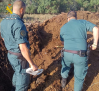Detenido por matar a disparos a cinco perros desaparecidos hace dos años en la comarca de La Sagra