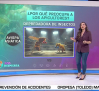 Los peligros para la biodiversidad que conlleva la avispa asiática