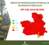 Riesgo extremo de incendio forestal en Castilla-La Mancha: las medidas preventivas a seguir