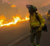 Tragedia en Almería: al menos once personas mueren en un incendio forestal en Los Gallardos