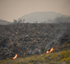 Castilla-La Mancha traslada su colaboración y solidaridad con Andalucía tras el incendio