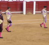 Toros desde Manzanares (11/07/2026)
