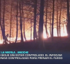 Avance informativo por el incendio forestal de La Mierla (Guadalajara)