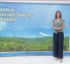 Avance informativo por el incendio forestal de La Mierla (Guadalajara) - (19/07/2026)