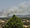 Desalojan Aragoncillo y cortan una carretera por un incendio forestal en Selas (Guadalajara)