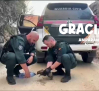 Gracias por ayudar y proteger también a los animales
