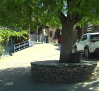 Los 'pueblos negros' de Guadalajara se han salvado del incendio y esperan a los turistas
