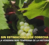 El campo - 03/08/2026