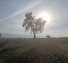 Temperaturas por debajo de los 36º en Castilla-La Mancha, en aviso amarillo en Almansa y Hellín por calor