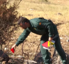 Así investiga el SEPRONA el origen de un incendio