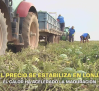 El campo - 06/08/2026
