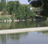 Bancos de arena en el río Tajo por la escasez de caudal
