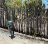 Rescatan en Socovos a una mujer y a sus mascotas, atrapadas en su casa por un incendio