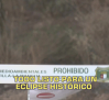 Castilla-La Mancha a las 8 - 11/08/2026