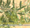 El campo - 13/08/2026