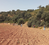 Drones de la Guardia Civil se unen al dispositivo de búsqueda de Margarita en Palomares del Campo
