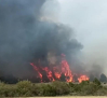 Dos carreteras afectadas por un incendio forestal en El Recuenco (Guadalajara)