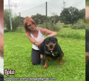 La protectora Por los Pelos recuerda la importancia de no abandonar a nuestras mascotas