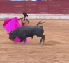 Novillada mixta desde Sigüenza
