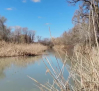 El bajo caudal y las bacterias ponen en jaque al Tajo en Toledo