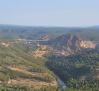 Se busca a una vaquilla que se escapó del encierro de Minglanilla (Cuenca)