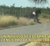 El día en Titulares. 17/08/2026