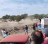 Localizado el toro escapado de los encierros de Aljubé, pedanía de Tobarra (Albacete)