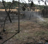 Se evalúan los daños por el incendio forestal de Galápagos (Guadalajara)
