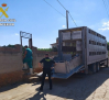 Ordenan el sacrificio de 28 ovejas en Ruidera (Ciudad Real) por incumplir la normativa de sanidad animal