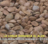 La lonja de la almendra arranca al alza - 21/08/2026