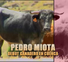 Tiempo de toros (22/08/2026)