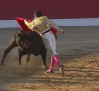Novillada sin picadores desde Alamillo (Ciudad Real)