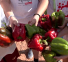 Villanueva de los Infantes prepara su Feria del Pimiento