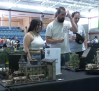 Primer Concurso de Modelismo en Bargas