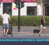 Previsión del tiempo - 06/09/2026