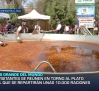 El pisto más grande del mundo, en Villanueva de los Infantes