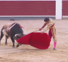 Corrida de toros desde Albacete (08/09/2026)