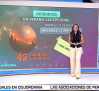 ¿Cómo se deben recuperar los bosques y los montes tras un incendio?