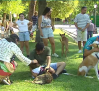 Un 'Desfile Perruno' para fomentar la adopción en Guadalajara