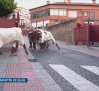 Castilla-La Mancha fin de semana a las 2 19/09/2026