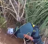 Rescatan a dos perros abandonados en un pozo en Fuente el Fresno (Ciudad Real)
