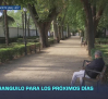 Previsión del tiempo - 08/10/2026