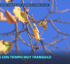 Previsión del tiempo - 09/10/2026
