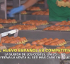 El huevo español es competitivo - 09/10/2026