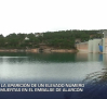 Investigan la aparición de un gran número de carpas muertas en el embalse de Alarcón