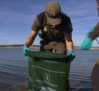 Siguen apareciendo carpas muertas en el pantano de Alarcón (Cuenca)